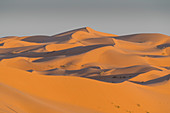 Massive sand dunes behind the Oasis of Taghit, western Algeria, North Africa, Africa