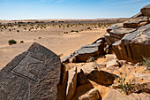 Prehistoric rock carvings near the Oasis of Taghit, western Algeria, North Africa, Africa