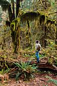 Hall of Mosses rainforest, Olympic National Park, UNESCO World Heritage Site, Washington State, United States of America, North America