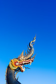 Naga head at Wat Rong Suea Ten (Blue Temple) in Chiang Rai, Thailand, Southeast Asia, Asia