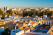 View of the historic center of Seville from the top of the Cathedral of Seville, Seville, Andalucia, Spain, Europe