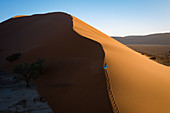 Drone shot of model Climbing Dune 13, Sossusvlei, Namibia, Africa