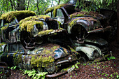 Bastnas Car Cemetery (Autofriedhof) tief in den Wäldern der Region Varmland in Schweden, Skandinavien, Europa