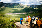 Führer und Reisende mit Pferden in den Wäldern der Ost-Taiga in der Nordmongolei, besuchen die abgelegenen nomadischen Rentierhirten in der Nähe der sibirischen Grenze