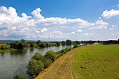 Blick über die Donau bei Wörth, Donau, Bayern, Deutschland