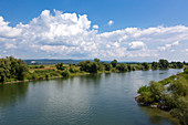 View over the Danube at Wörth, Danube, Bavaria, Germany