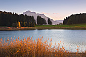 Herbst am Forggensee, Blick zum Säuling, Allgäu, Bayern, Deutschland