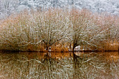 Ruhrauen im Winter, bei Hattingen, Ruhrgebiet, Nordrhein-Westfalen, Deutschland