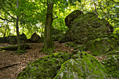 Felsen auf dem Litermont bei Düppenweiler, Saar, Saarland, Deutschland