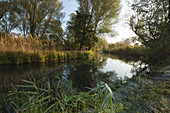 Kleiner Kanal am Spreewald, Brandenburg, Deutschland