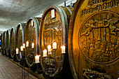 Old wine barrels, Badischer Winzerkeller, Breisach am Rhein, Breisgau, Black Forest, Baden-Württemberg, Germany