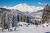 France, Haute Savoie, Morzine, Les Gets, the valley of Aulps, ski slopes of the Portes du Soleil, Chablais, view of the Roc d'Enfer (2243m)