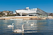 Frankreich, Rhône , Lyon, Bezirk La Confluence südlich der Presqu'île, der erste französische Bezirk, der vom WWF als nachhaltig zertifiziert wurde, das Musée des Confluences, ein Museum für Wissenschaft und Gesellschaft am Zusammenfluss von Rhône und Saône, das von der österreichischen Firma Coop Himmelb(l)au entworfen wurde; das Museum wurde am 20. Dezember 2014 eröffnet