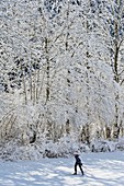 Frankreich, Isere, Regionalpark Chartreuse, Le Sappey en Chartreuse, Skiresort im Winter, Langläufer