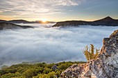 France, Alpes de Haute Provence, regional natural reserve of Verdon, Grand Canyon of Verdon