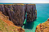 Stack Rocks, Castlemartin, Küste von Pembrokeshire, Wales, Vereinigtes Königreich, Europa