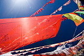 Rote Gebetsfahnen gegen blauen Himmel, Yushu, Qinghai, China, Asien