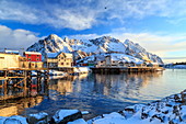 Sonnenaufgang über die Häuser und den Hafen von Henningsvaer, Lofoten-Inseln, Arktis, Norwegen, Skandinavien, Europa