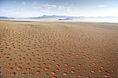 Luftaufnahme vom Heißluftballon über herrliche Wüstenlandschaft von Sanddünen, Bergen und Feenkreisen, Namib Rand Wildreservat Namib Naukluft Park, Namibia, Afrika