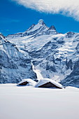 Teilweise verschüttete Gebäude auf den Skipisten vor dem Schreckhorn, 4078m, Grindelwald, Jungfrauregion, Berner Oberland, Schweizer Alpen, Schweiz, Europa