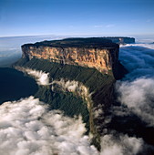 Luftbild von Tepuis mit dem Berg Roraima (Cerro Roraima) aus dem Norden, Venezuela, Südamerika