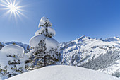 Blick auf Alpspitze im Wettersteingebirge, Garmisch-Partenkirchen, Werdenfelser Land, Bayern, Deutschland