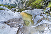 Gumpe im Reintal vor Nordwand des Hochwanner, Wettersteingebirge, Garmisch-Partenkirchen, Werdenfelser Land, Bayern, Deutschland