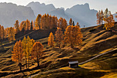 The Armentara meadows under the Kreuzkofel in the South Tyrolean Dolomites, UNESCO World Natural Heritage, Gadertal, Italy