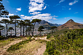 Blick vom Signal Hill auf den Tafelberg und Lions Head in Kapstadt, Südafrika, Afrika