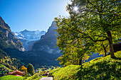 Blick zum Fiescherhorn, Grindelwald, Berner Oberland, Kanton Bern, Schweiz