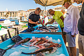 Fish market in the Old Port in Marseille, Bouches du Rhone, Provence, Provence Alpes Cote d'Azur, France, Mediterranean, Europe