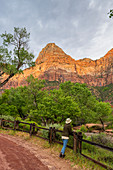 Enjoying the view in Zion National Park, Utah, United States of America, North America