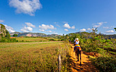 Tourist auf einer Pferdetour im Vinales-Nationalpark, UNESCO-Weltkulturerbe, Provinz Pinar del Rio, Kuba, Westindische Inseln, Karibik, Mittelamerika