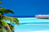 Palme und Lagune, Resort in Malediven, Indischer Ozean, Asien