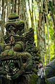 Sacred Monkey Forest Sanctuary (Affenwald Schutzgebiet von Ubud), Ubud, Bali, Indonesien, Südostasien, Asien