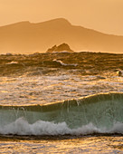 Große Wellen am Clogher Strand, Dingle-Halbinsel, Grafschaft Kerry, Münster, Republik Irland, Europa
