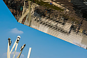 Porsche Museum, architect Delugan Meissl, Stuttgart, Baden-Württemberg, Germany