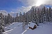 Frankreich, Haute Savoie, Chamonix, Vallorcine, Chalet im Winter, Mont-Blanc-Massiv