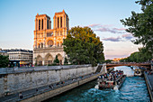 Frankreich, Paris, Gebiet als Weltkulturerbe der UNESCO, die Kathedrale Notre Dame auf der Insel La Cité