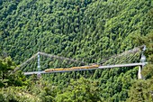 Frankreich, Pyrénées-Orientales, Region Cerdanya, Regionaler Naturpark der katalanischen Pyrenäen, der gelbe Touristenzug, der Villefranche de Conflent mit Latour de Carol (Linie Cerdagne) verbindet und über die Brücke von Cassagne oder die Gisclard-Brücke fährt (historisches Denkmal 1987)