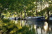 Frankreich, Herault, Cers bei Beziers, Canal du Midi, UNESCO Weltkulturerbe