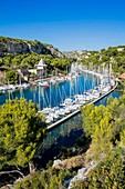 France, Bouches du Rhone, Cassis, the Calanques National Park, the cove of Port Miou