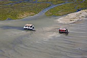 France, Gironde, Bassin d'Arcachon, ile aux oiseaux, the Cabanes Tchanquees (aerial view)