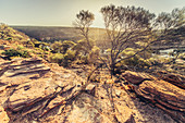 Evening mood in Kalbarri National Park in Western Australia, Australia, Oceania;