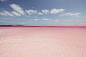 Pink Lake in Westaustralien, Australien, Ozeanien