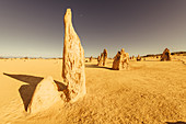 Sunrise at the Pinnacles in the Nambung National Park in Western Australia Australia, Oceania;