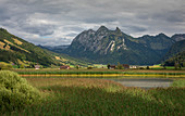 Berge und Schilfufer am Sihlsee, Einsiedeln, Schweiz