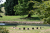 Castle Hill, Landhaus und Garten in der Gemeinde Filleigh in Nord-Devon in England, Großbritannien, Hundefriedhof