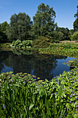 Teich, RHS Garden Rosemoor, Schaugarten der Royal Horticultural Society, Nord-Devon, England, Großbritannien