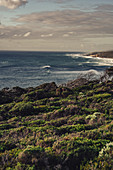 Wilyabrup sea cliffs near Margaret River, Western Australia, Australia, Oceania